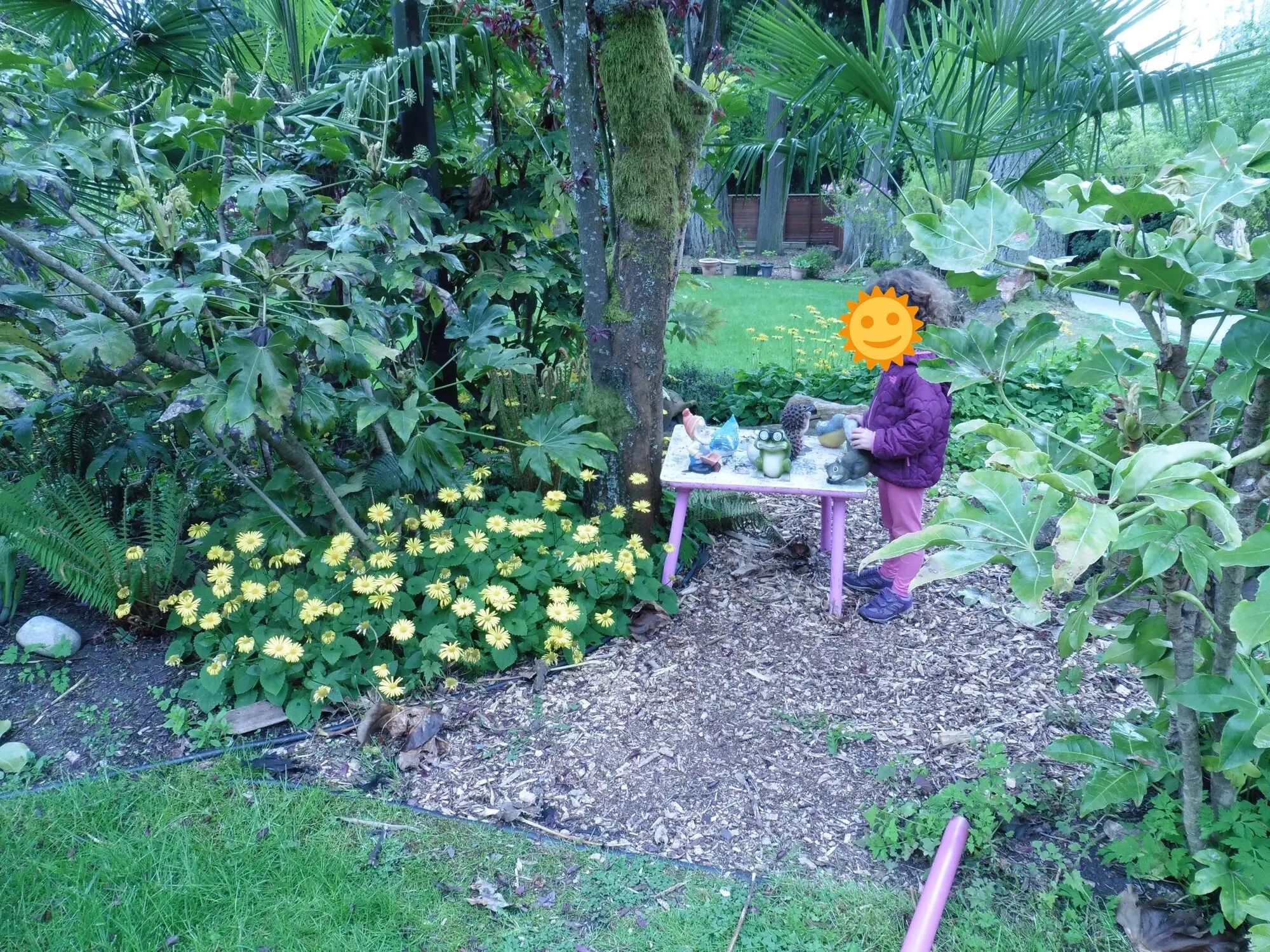 Play among the flowers and ferns