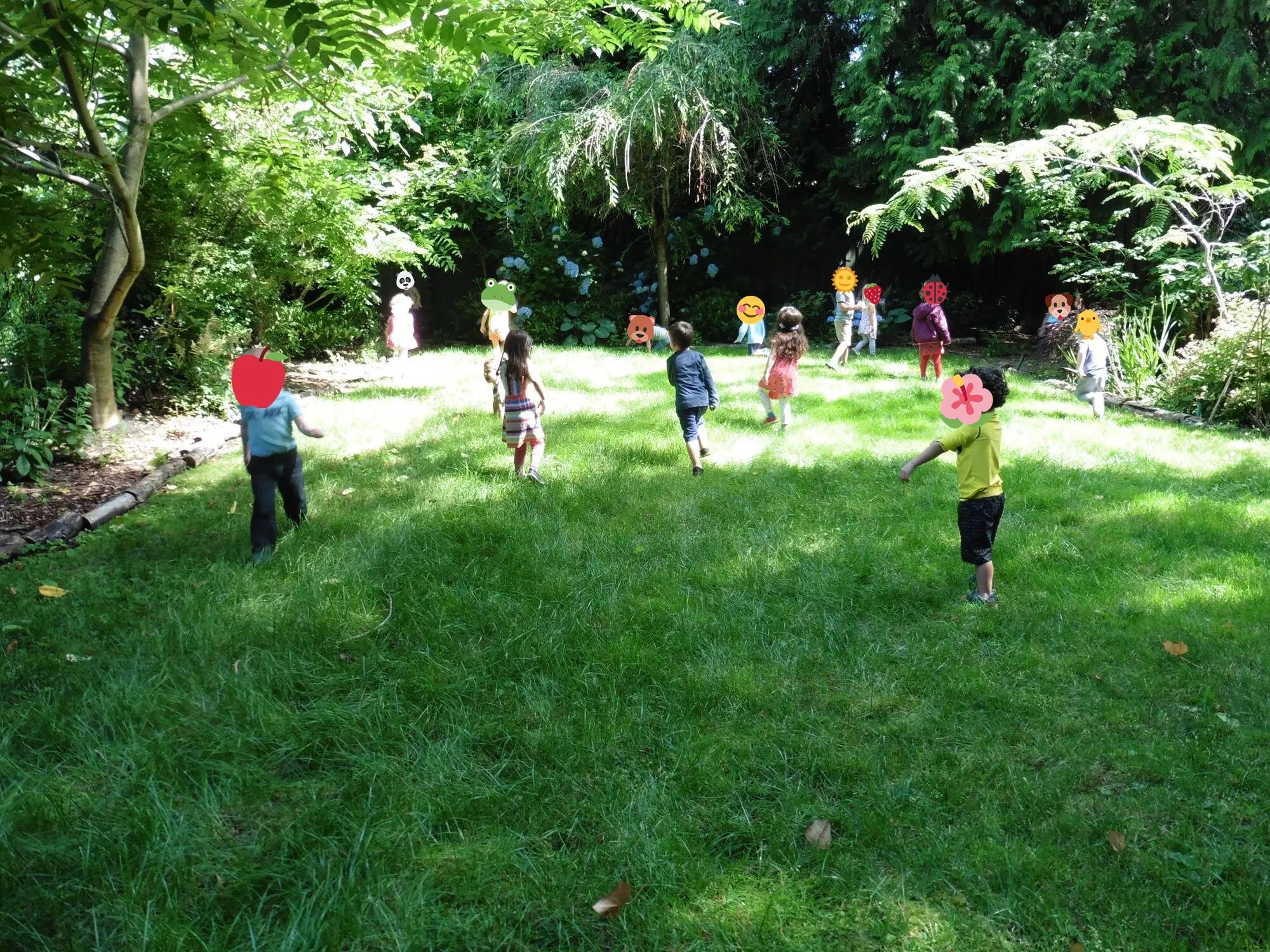 Room to run on the lawn