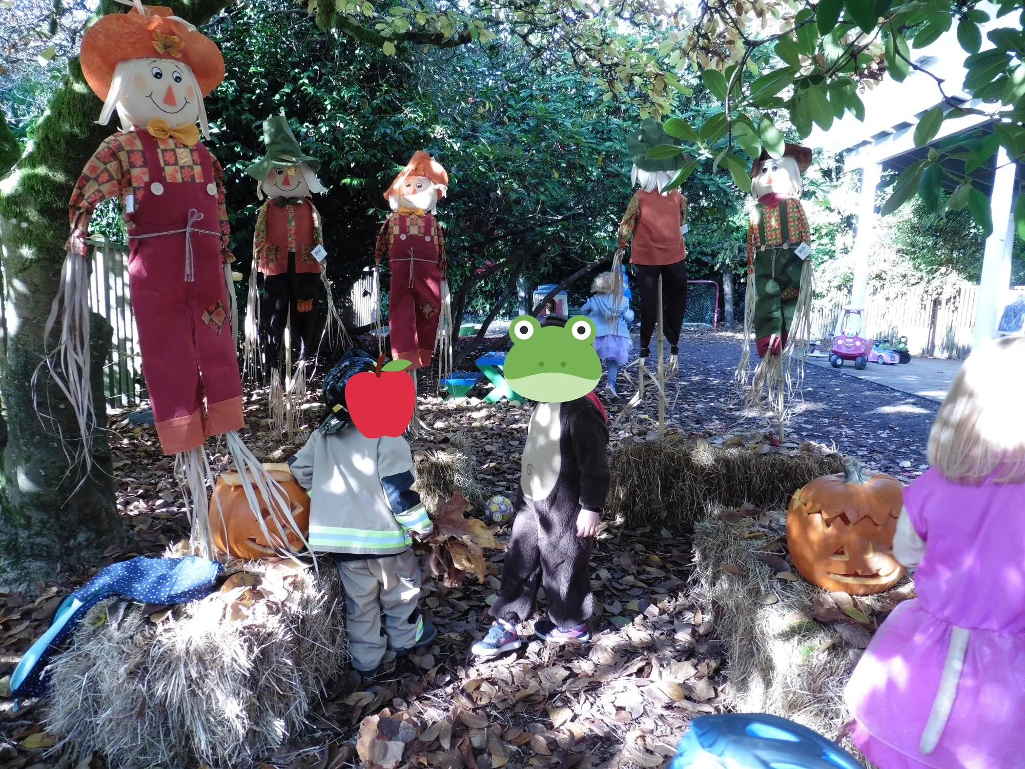 Scarecrows made for the harvest season