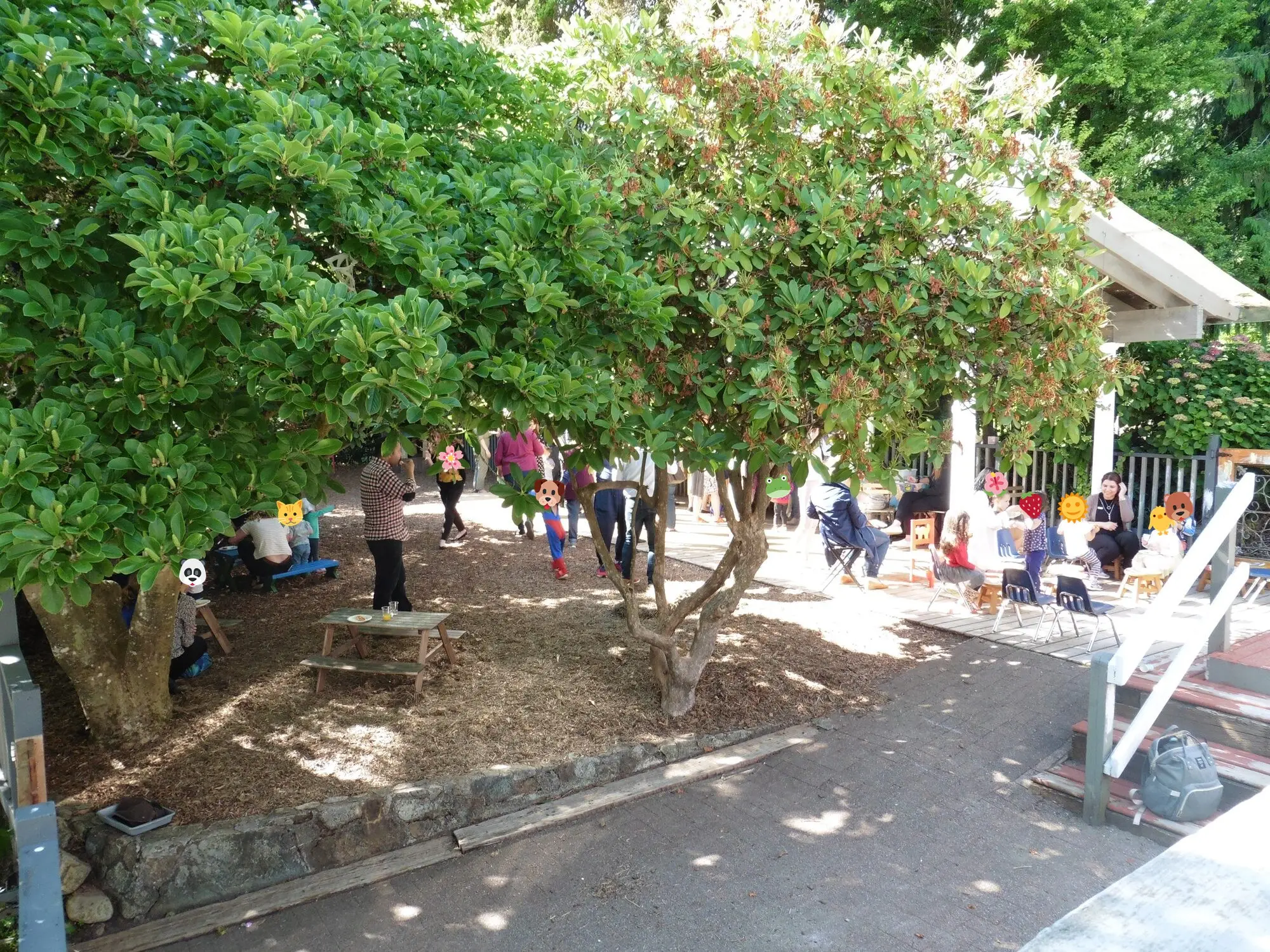 The shaded play yard in summer