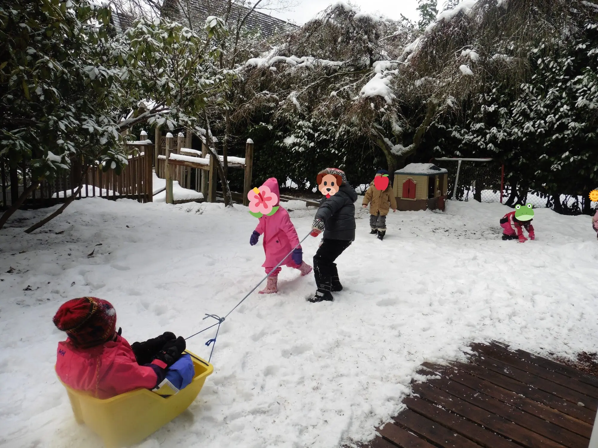 A snow day in the yard
