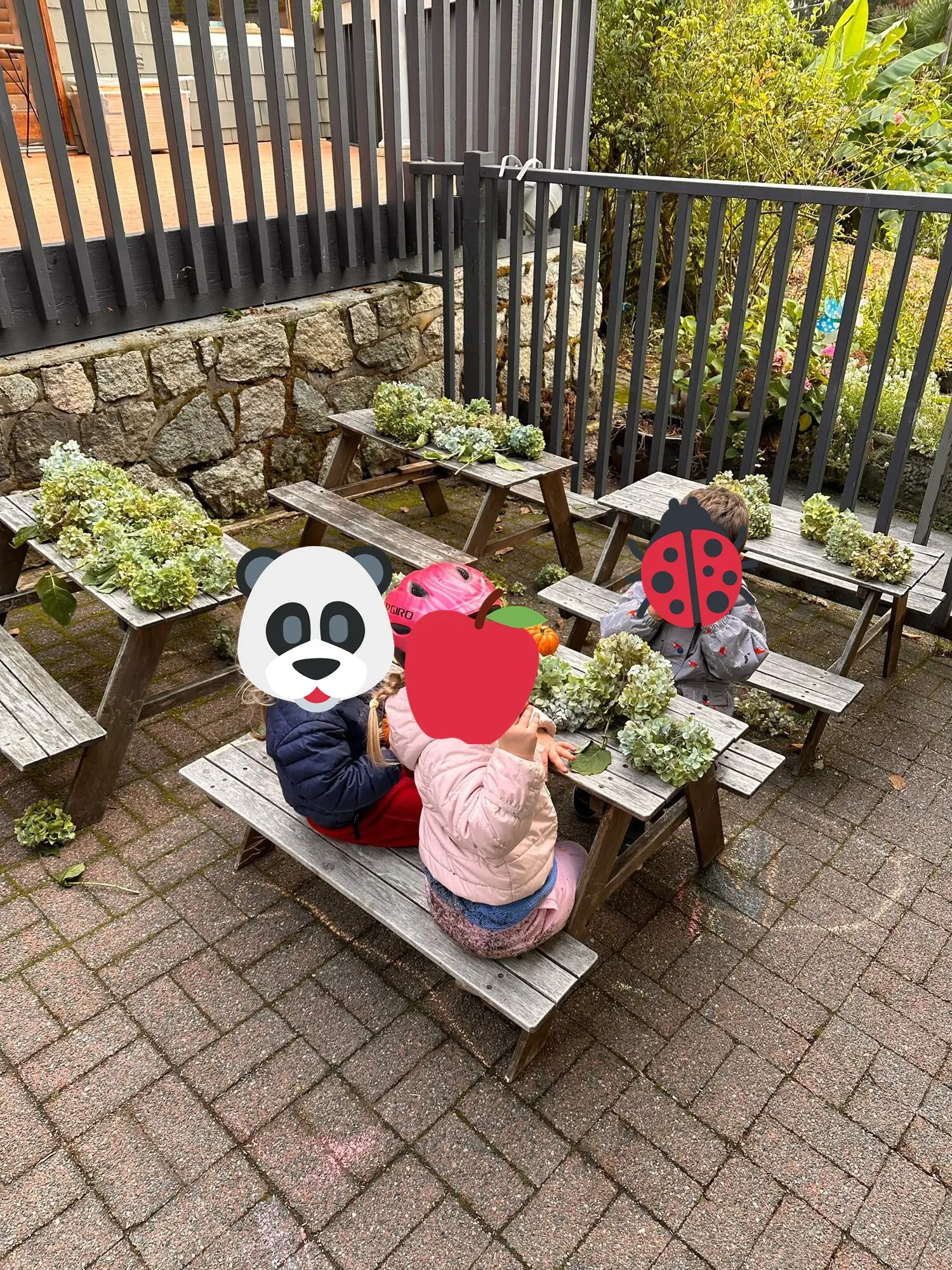 Planting succulents at the picnic tables