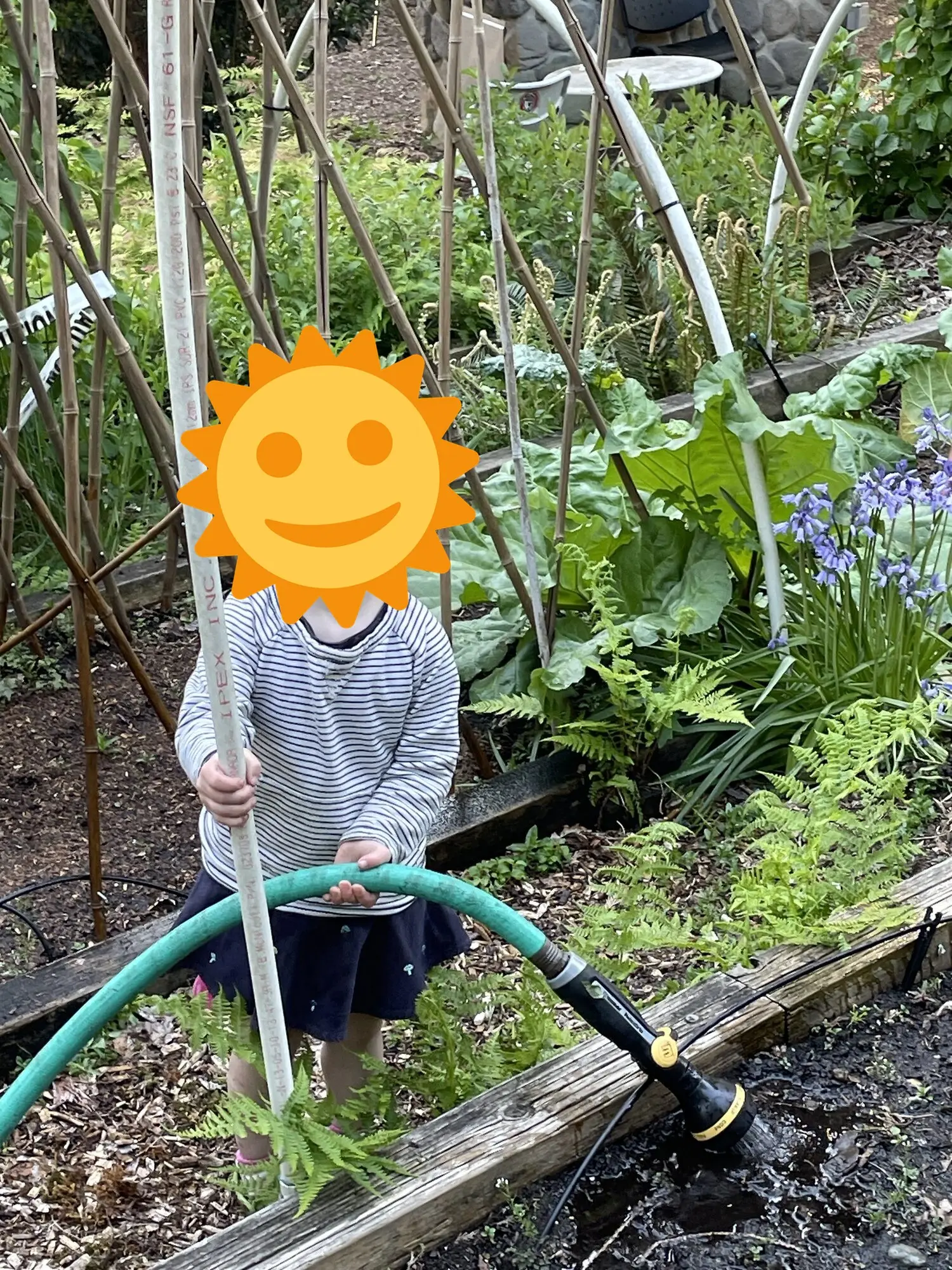 Taking a turn with the garden hose
