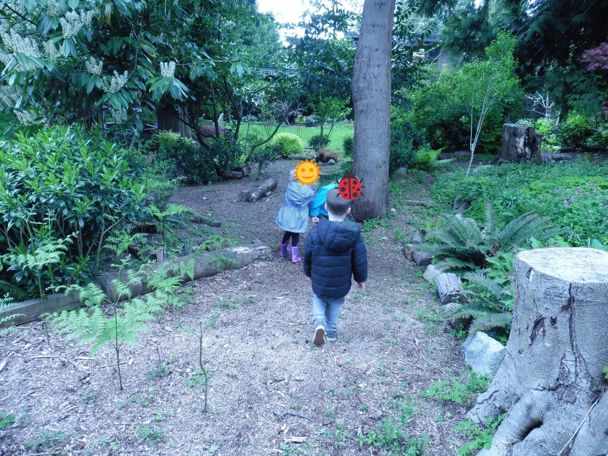 Walking the woodland trail